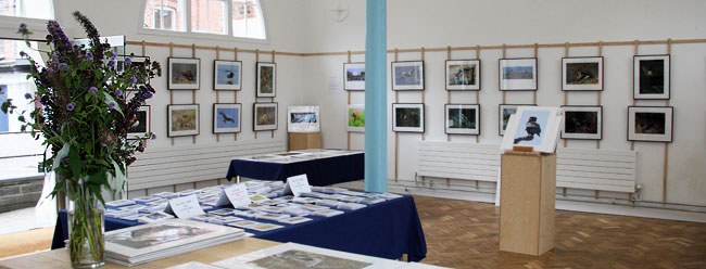 Guildhall Gallery
